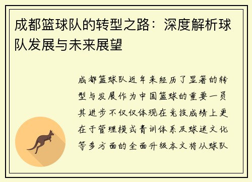 成都篮球队的转型之路：深度解析球队发展与未来展望